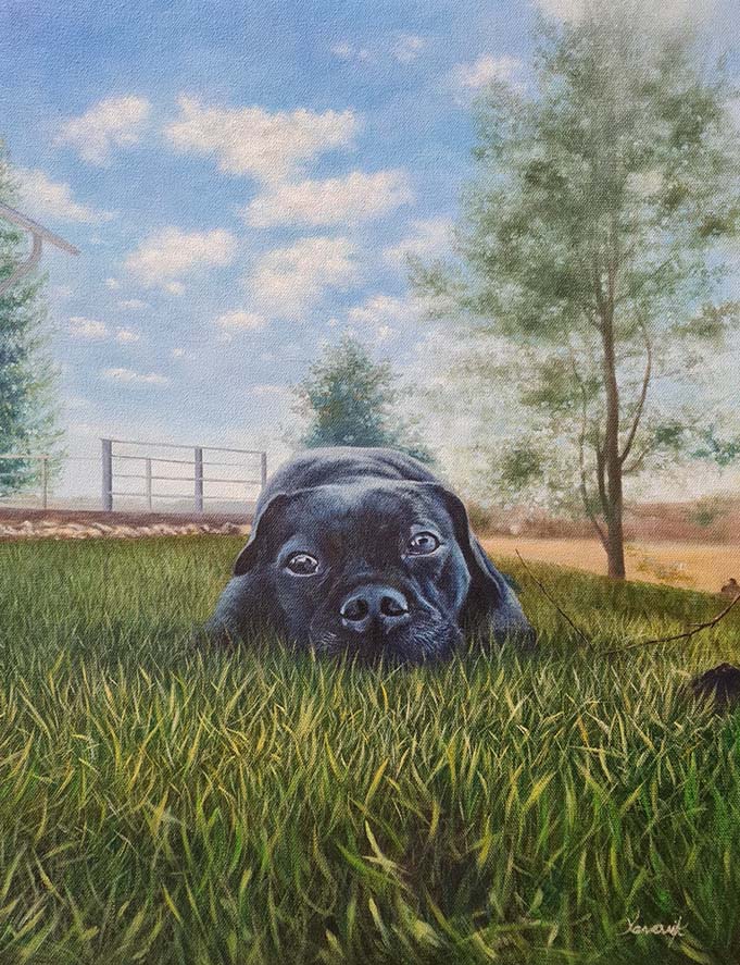 Oljemålning av en hund