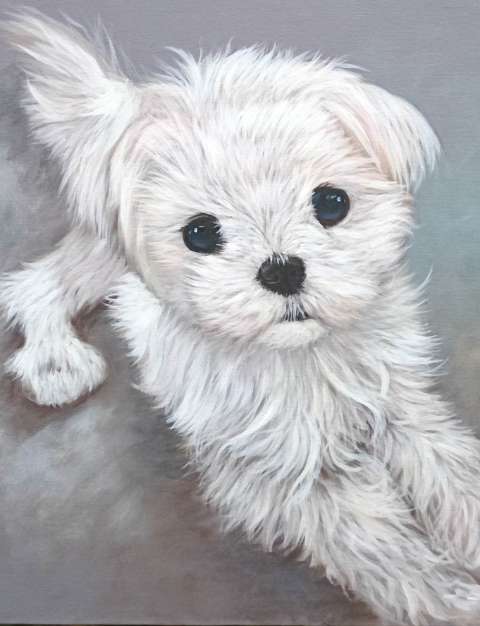 Anpassad porträttmålning vit hund
